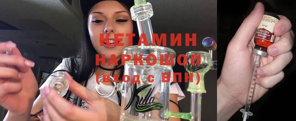 сатива Горняк