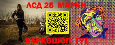 гидропоника Новокубанск