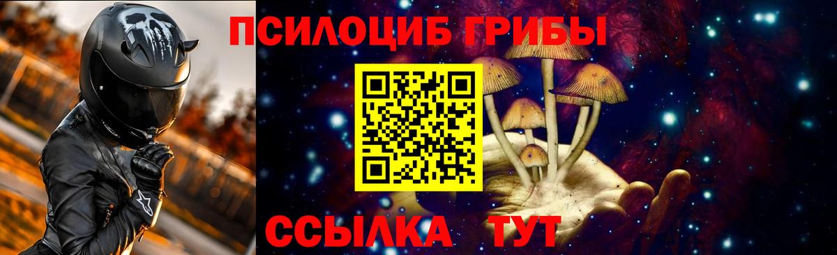 Псилоцибиновые грибы MAGIC MUSHROOMS  купить   Нижний Тагил  Вход с VPN 